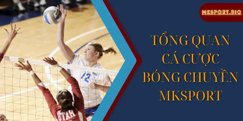 Tổng quan cá cược bóng chuyền Mksport