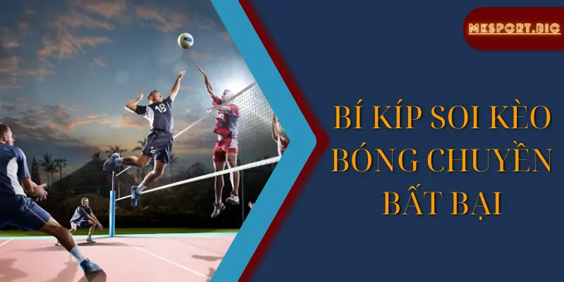 Bí kíp soi kèo bóng chuyền cực hay