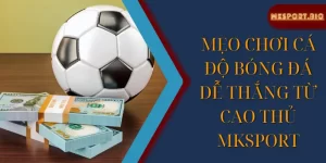 Mẹo chơi cá độ bóng đá dễ thắng từ cao thủ Mksport